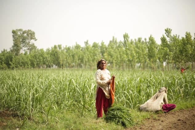 Documentary Hero image